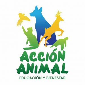 Acción Animal Adoption Fair @ Acción Animal 